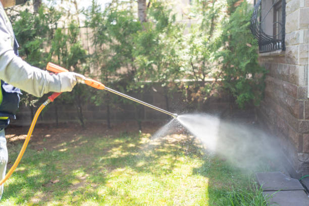Best Emergency Pest Control  in Golden Valley, AZ