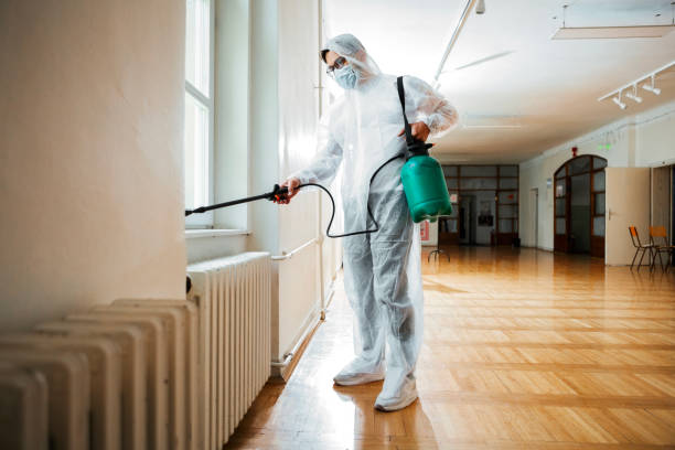 Best Pest Control for Restaurants  in Golden Valley, AZ