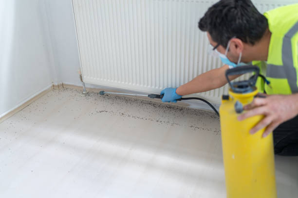  Golden Valley, AZ Pest Control Pros